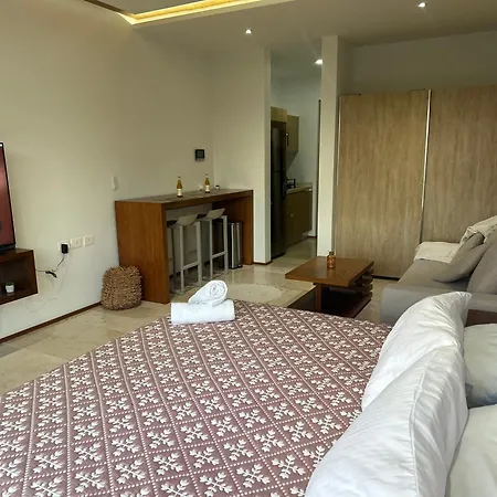 Smart Home Luxury Condo
